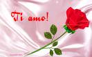 ti am